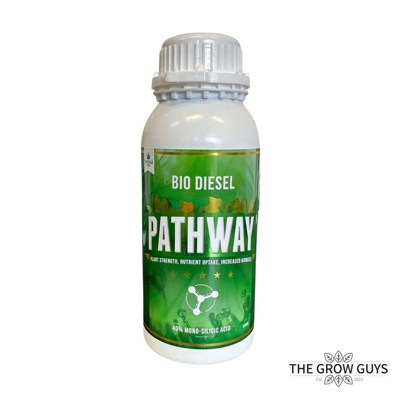 PATHWAY BY BIO DIESEL – MONO SILICIC ACID FOR STRENGTH, DEFENCE & UPTAKE 100ml