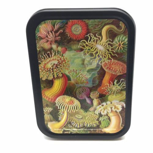Stash tin large.     Mushrooms - Get Hempified Store