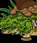 Hash Rosin: X-LARGE - Get Hempified Store