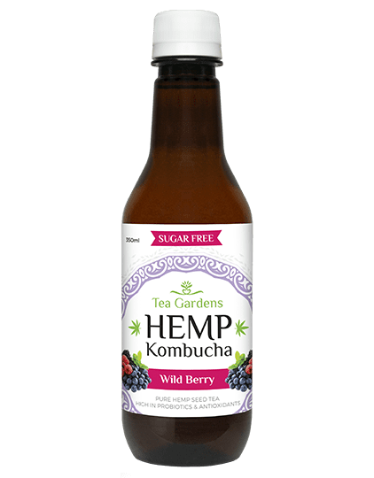Hemp Kombucha Wild Berry 350ml