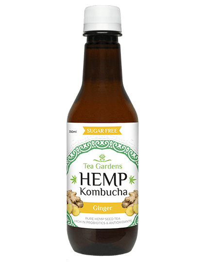 Hemp Kombucha Ginger 350ml