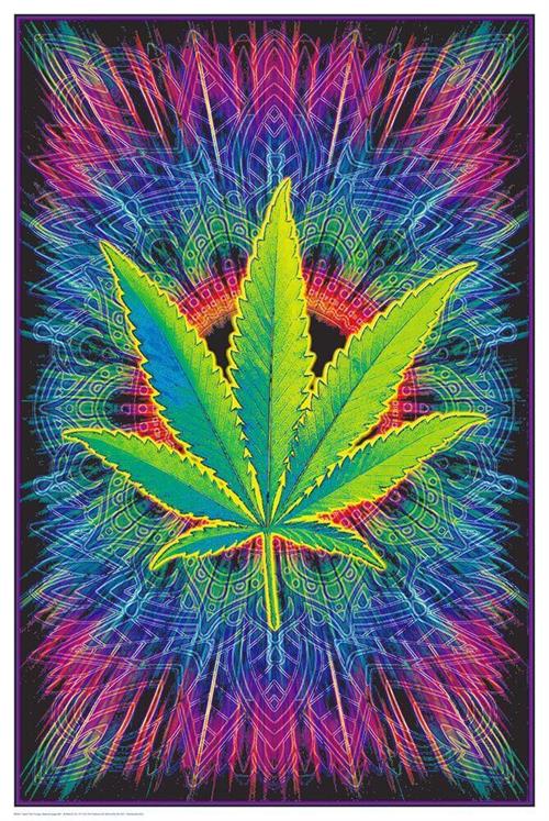 Canna Vibes Non-Flocked Blacklight Poster - Blockmounted