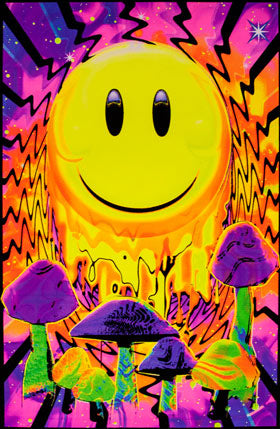 Have A Nice Trip Flocked Velvet Blacklight Poster Blockmounted