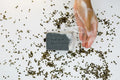 Hemp + Activated Charcoal Soap - Get Hempified Store