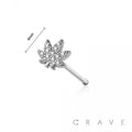 CZ GEM PAVED HEMP 316L SURGICAL STEEL NOSE BONE STUD: GOLD