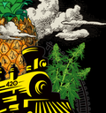 MEN'S PINEAPPLE EXPRESS TEE: MEDIUM