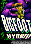 Bigfoot Glue Tee: X-LARGE - Get Hempified Store