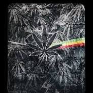 Blankets.     Irie Vibe Plush Fleece  - Heavy Weight