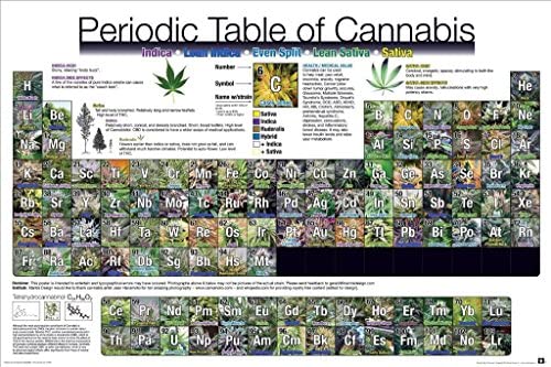 Poster block mounted       Periodic Table of Cannabis