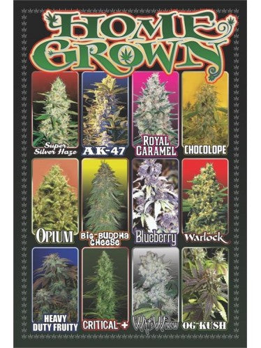 Poster block mounted.      Organic Home Grown Cannabis
 - Maxi Poster