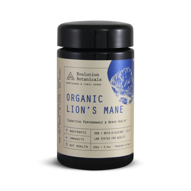 LION’S MANE EXTRACT (ORGANIC 12:1)