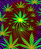 Hemp Clothing - Get Hempified Store