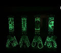Glow In The Dark MJ Rick Glass Beaker Waterpipe – 25cm