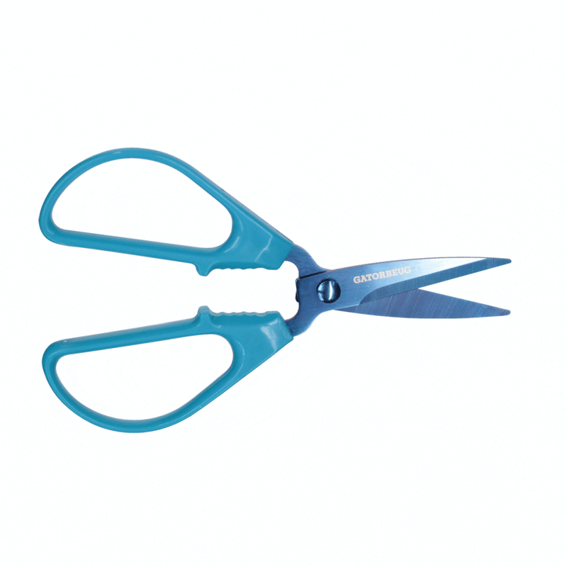 BLUE SCISSORS